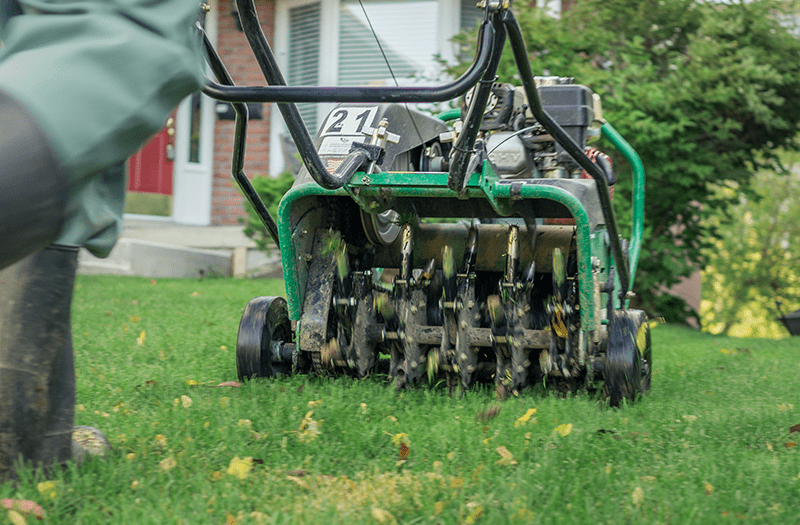 Lawn Aeration