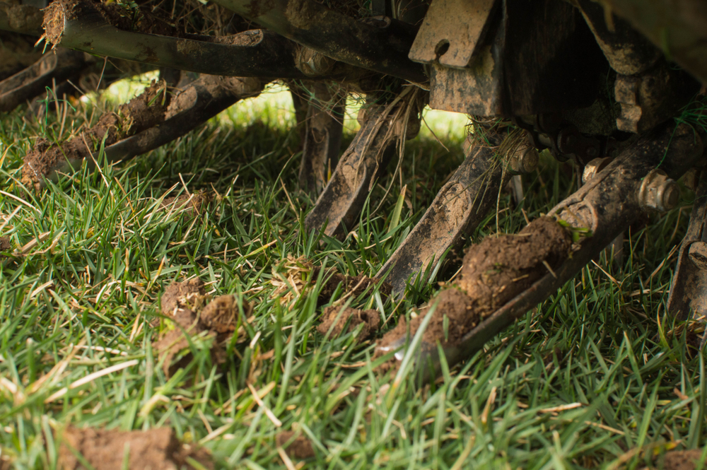 Deep core Lawn Aeration