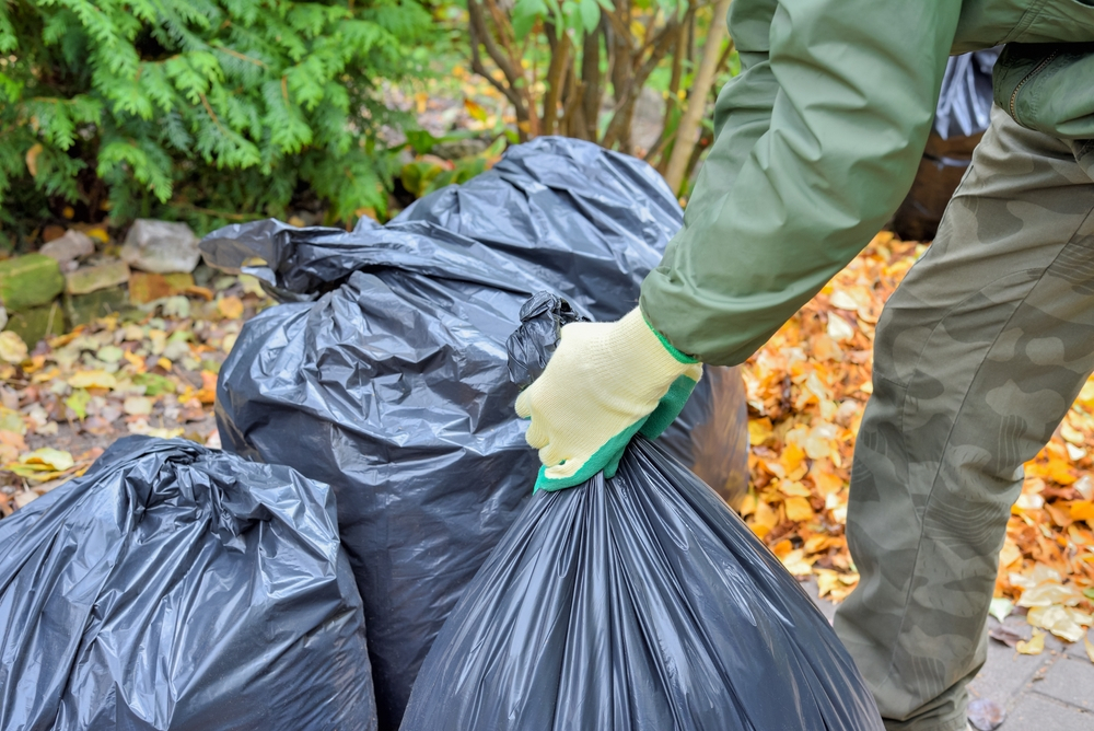 Leaf and Debris Clean Up