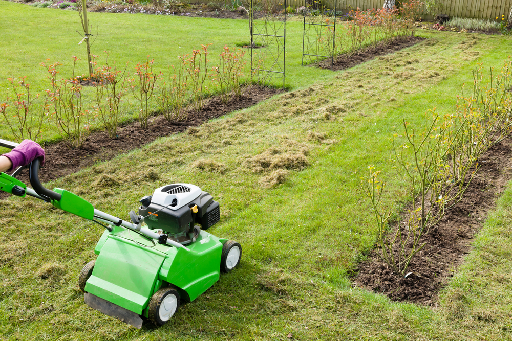 Power raking / Dethatching Edmonton