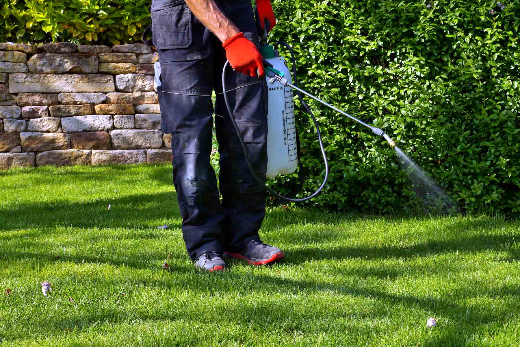 Weed control edmonton