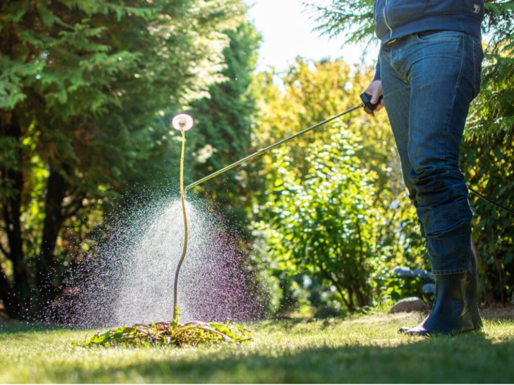 Weed control edmonton