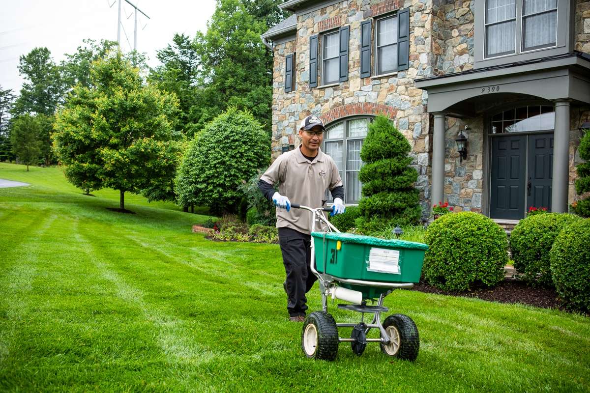 lawn fertilization services edmonton