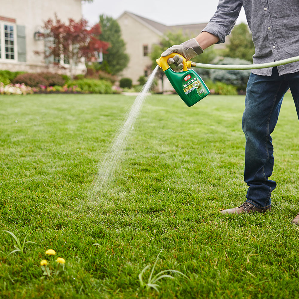 Weed Control In Lawns