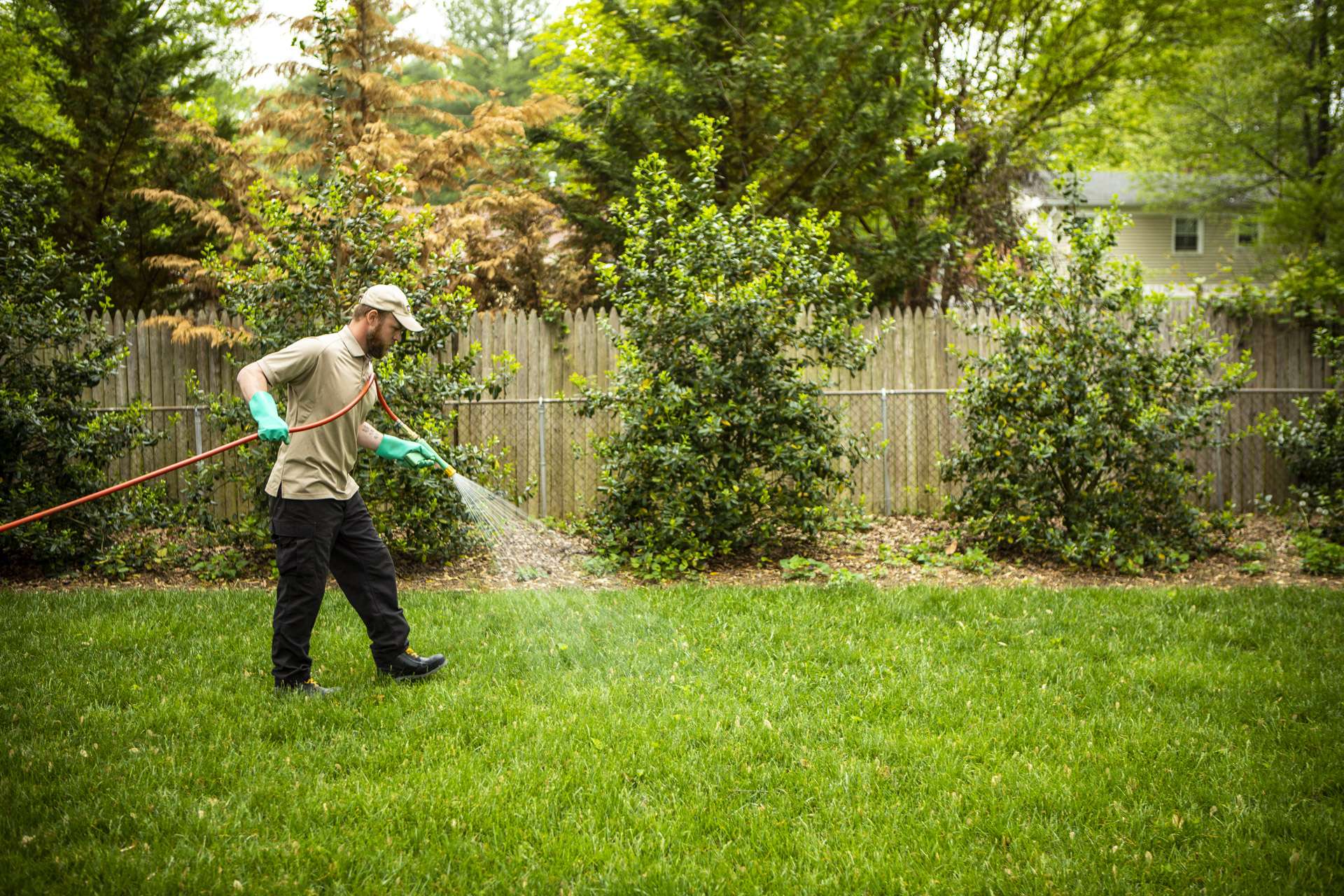 Weed Control In Lawns