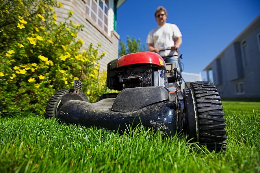  lawn care Edmonton