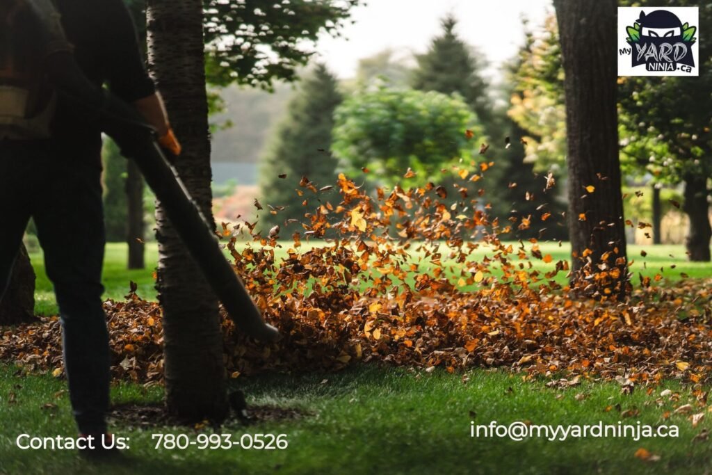 Lawn Care Edmonton