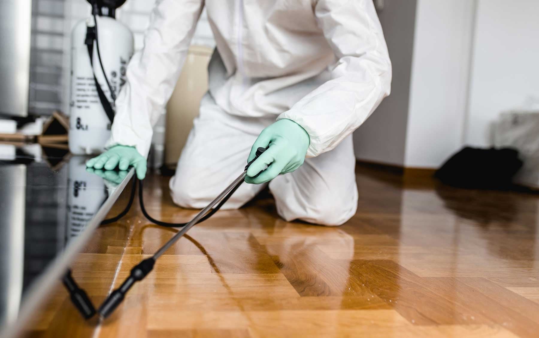 pest control Edmonton