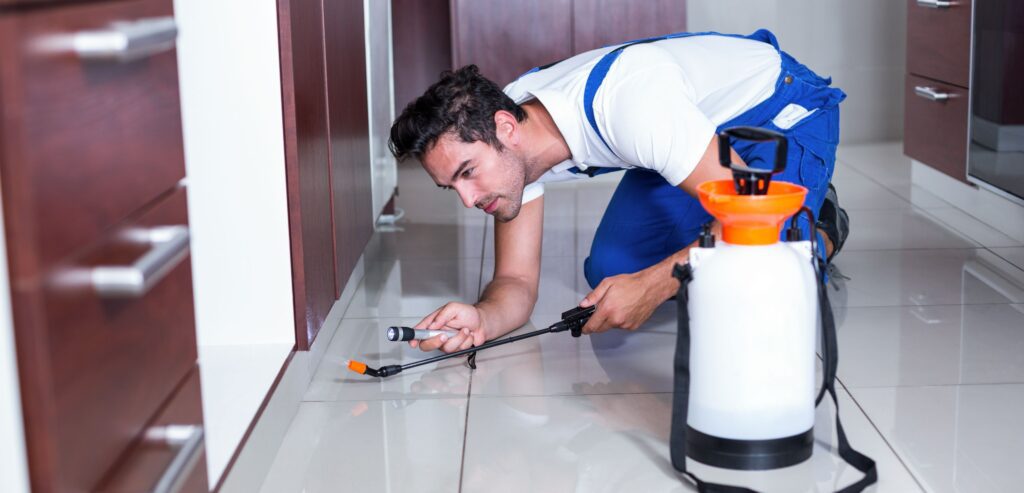 pest control Edmonton