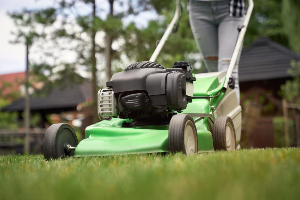 lawn maintenance services edmonton