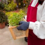 Residential Weed Control Services