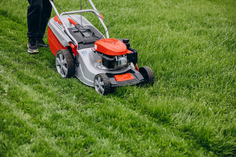 Edmonton lawn care