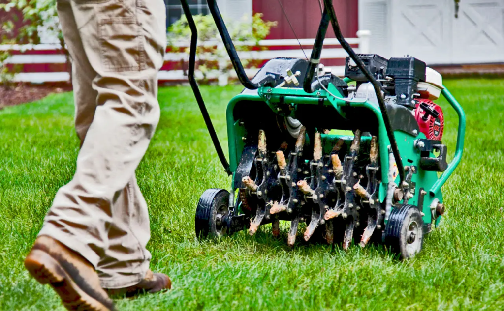 Lawn Aeration Edmonton