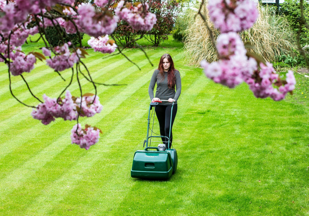 Lawn Care Edmonton