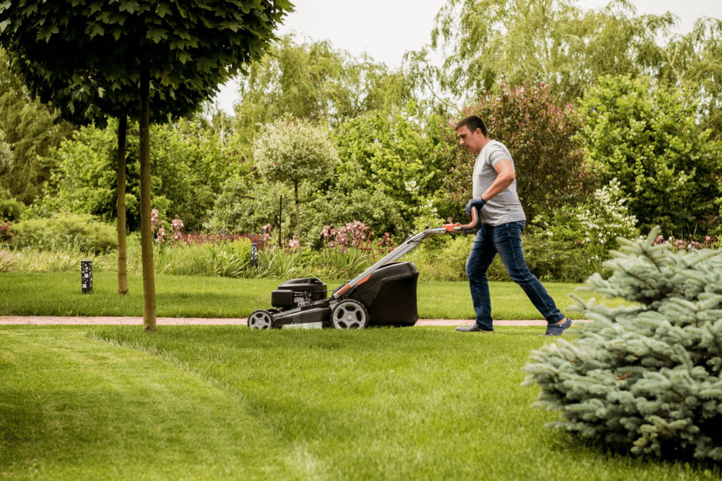 Lawn Care Edmonton