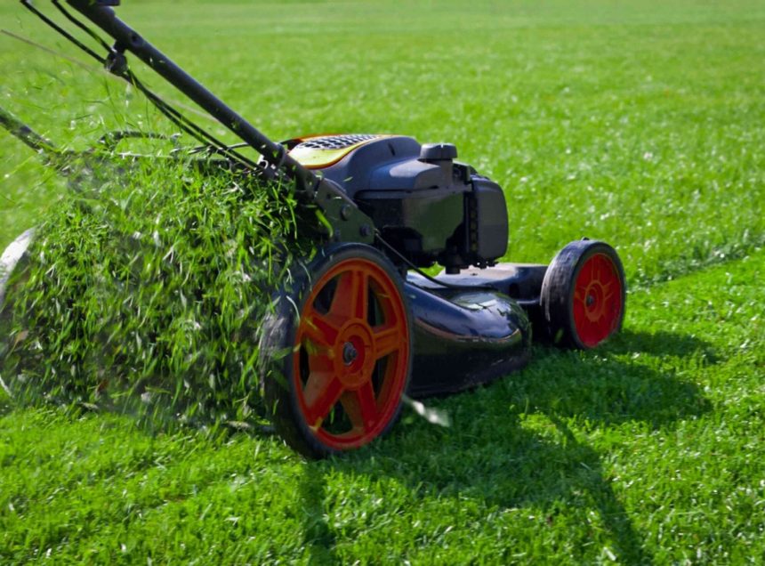 spring-lawn-care-scaled